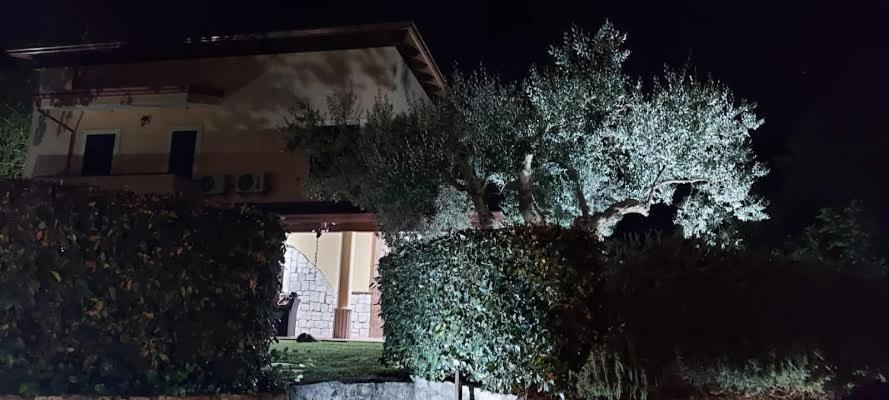 B&B Stazione La Reggia Казерта Экстерьер фото
